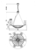 Подвесная люстра Maytoni Pantheon H021PL-06CH