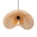 Подвесной светильник Freya Wavy FR5243PL-01BR9