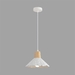Подвесной светильник Lumion SUSPENTIONI 8352/1A