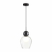 Подвесной светильник Odeon Light Blacky 5023/1