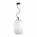 Подвесной светильник Odeon Light Pendant Roofi 4752/1