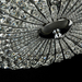 Потолочная люстра Maytoni Broche DIA902-04-N
