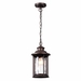 Уличный подвесной светильник Odeon Light Nature Mavret 4961/1