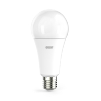 Лампа светодиодная Gauss E27 25W 6500K матовая 73235