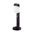 Ландшафтный светильник ODEON LIGHT NATURE 5434/1F