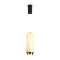 Подвесной светильник Freya Modern Iride FR5627PL-L11BBS