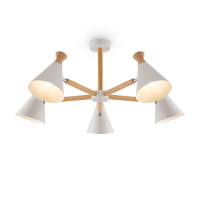 Потолочная люстра Freya Rise FR5169PL-05W