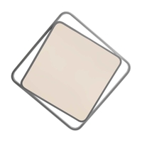 Потолочный светильник Freya FR10030CL-L88W