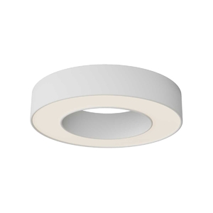 Потолочный светильник Maytoni Technical C093CL-24W3K-W