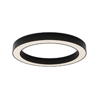 Потолочный светильник Maytoni Technical C093CL-45W3K-B