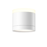 Потолочный светильник Maytoni Technical C120CL-GX53-W