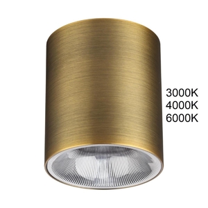 Потолочный светильник Odeon Light HIGHTECH 7137/12CL