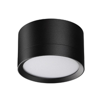 Светильник накладной Novotech LIRIO 371034